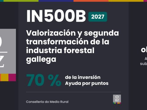 IN500B 2027 de Consellería do Medio Rural: Valorización y segunda transformación de la industria forestal gallega. 70 % de la inversión, por puntos.